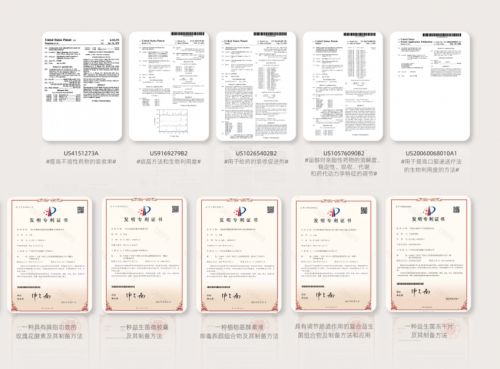 斩获毫芜园区战略投资,bfb集团擎画健康产业新蓝图