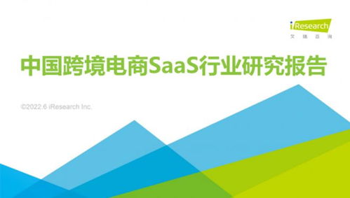 牛信云入选 2022年中国跨境电商saas行业研究报告 代表厂商