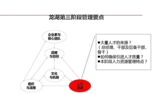 标杆 龙湖 企业管理与运营精细化管理