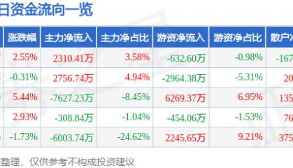 股票行情快报：鲁西化工（000830）8月25日主力资金净买入2310.41万元