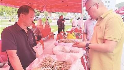 潞党参产业：平顺富民强县新支柱