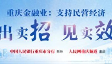 建行重庆市分行：发动金融引擎 全面助力打造民营经济发展高地