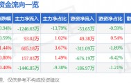 股票行情快报：蓝海华腾（300484）1月20日主力资金净卖出1246.63万元