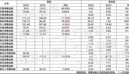 细看中部消费金融公司线上、线下布局策略｜持牌消金2024（二）