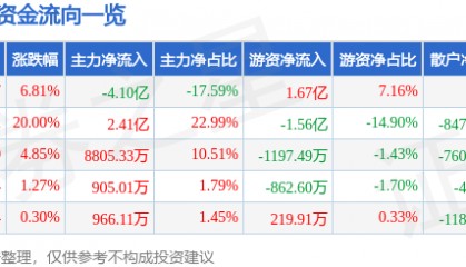 爱乐达（300696）8月5日主力资金净卖出4.10亿元
