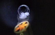 俄军敢死队爬了4天管道，一下子杀入库皮扬斯克市，打懵守城乌军