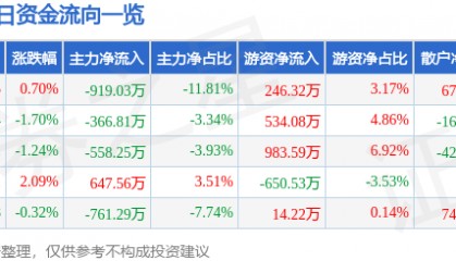 股票行情快报：东方材料（603110）7月24日主力资金净卖出919.03万元