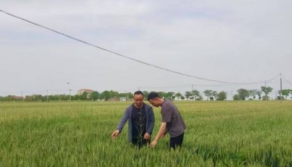 湖北农担金融“及时雨”助力春耕生产