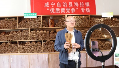 威宁海拉镇干部“云端”助农卖党参