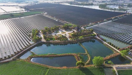 地方发展绿色金融的有效路径