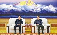 王君正与湖北省委常委、武汉市委书记郭元强座谈
