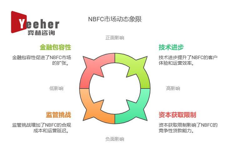 全面分析2025年非银行金融公司市场