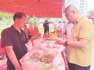 潞党参产业：平顺富民强县新支柱