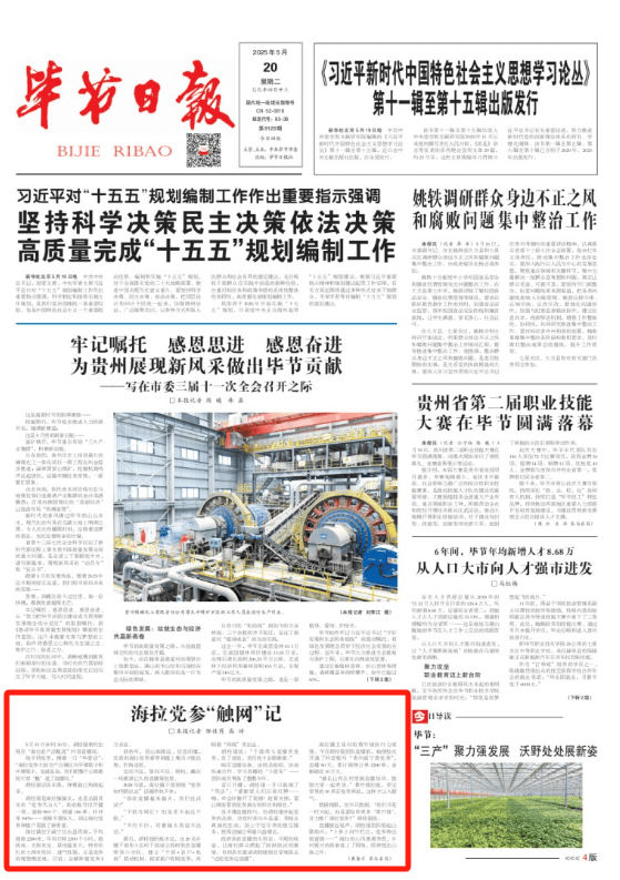 【市州党报关注】海拉党参“触网”记