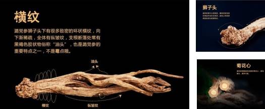 潞党参为什么是膏滋的好？三晋潞党参膏滋深度解析