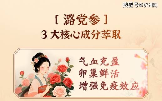 潞党参为什么是膏滋的好？三晋潞党参膏滋深度解析