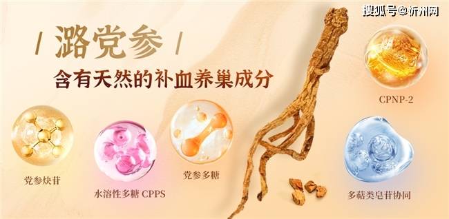 潞党参为什么是膏滋的好？三晋潞党参膏滋深度解析