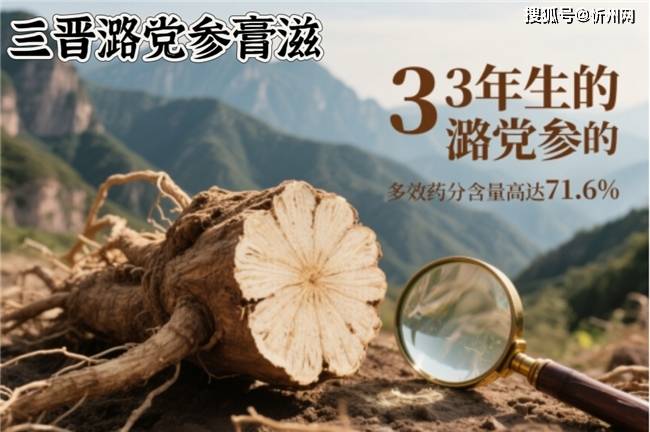 道地潞党参精粹：30+女性的细胞级抗衰方案 ——三晋潞党参膏滋