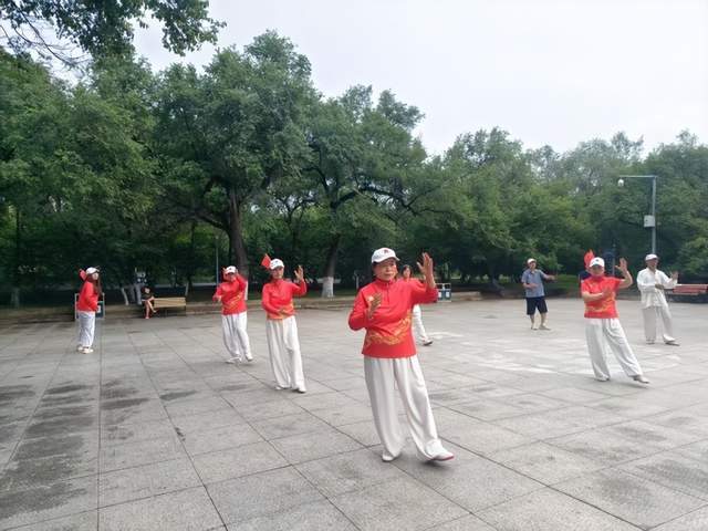 哈尔滨市呼兰区丹桂飘香太极团队“以拳寄情”献礼党的生日