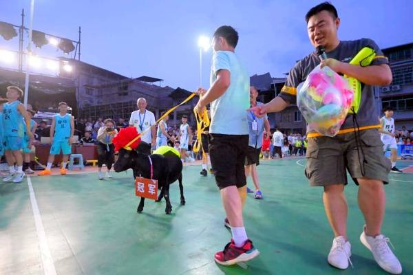 “篮”动新农村 共筑振兴梦——古蔺县丹桂镇篮球邀请赛圆满落幕