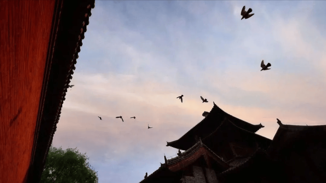少林寺释永信方丈怎么了？