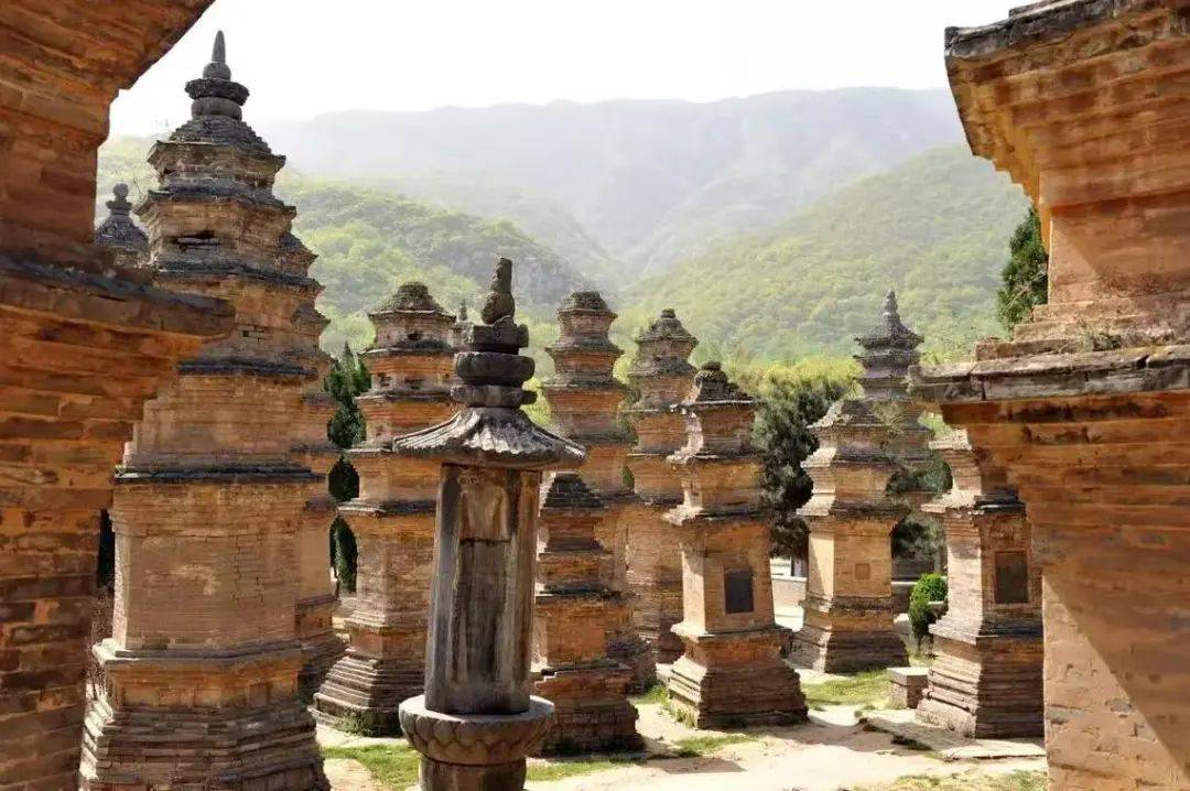 少林寺的商业版图：一座千年古刹的财富密码