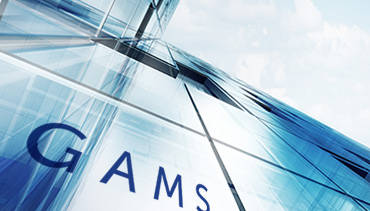 GAMS —运筹规划分析软件