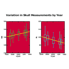 SYSTAT —统计分析软件包