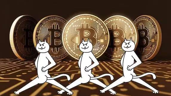 虚拟币2X(虚拟币2025年会有牛市吗)