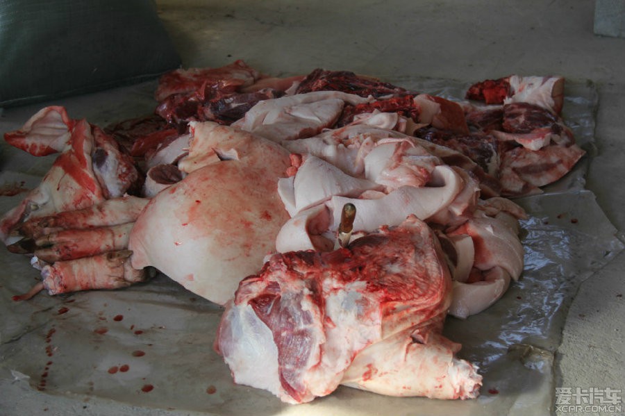 虚拟币杀猪(虚拟币会抓什么人)